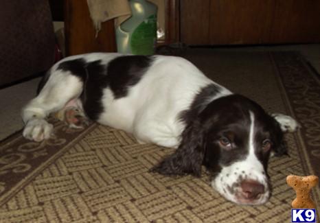 dlynn124 Picture 3
